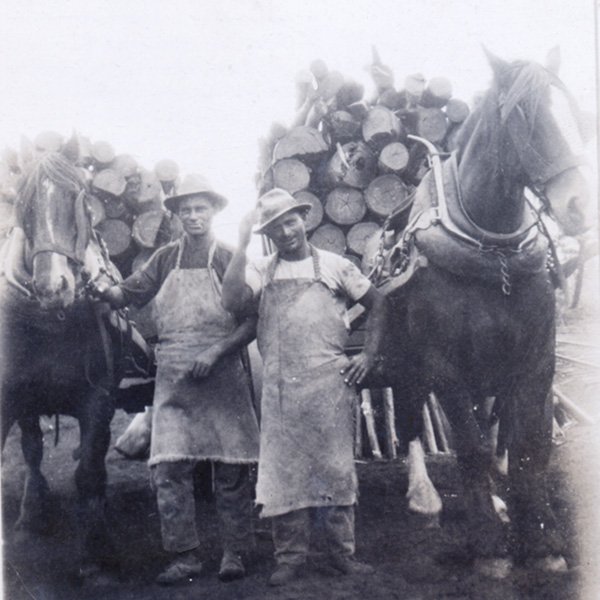 A picture showing two men in work attire, including wide-brimmed hats and overalls, standing beside their horse and drays loaded with wood. The man on the right is Ivan Markovich. Photograph courtesy Mary Vuleta.